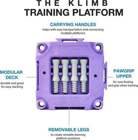 img 3 attached to Blue-9 Klimb Dog Training Platform and Agility System: 🐾 A Sturdy and Portable Solution for Indoor and Outdoor Use