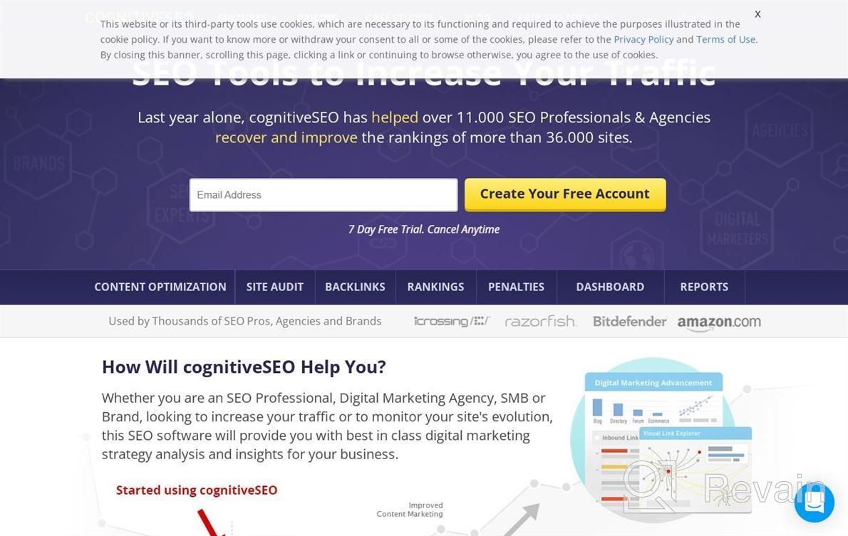 img 1 attached to cognitiveSEO review by Kelly Noonan