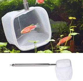 img 3 attached to 🐠 Kangkang 3D Aquarium Small Fish Shrimp Catching Net 5cm Square - ZSZ4781 - Random Color Delivery (Square Shape)