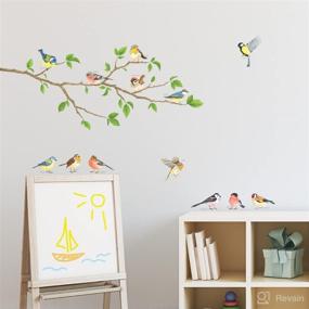 img 1 attached to 🌳 DECOWALL Garden Birds on Tree Branch Wall Stickers - Peel and Stick Removable Decals for Kids Nursery, Bedroom, and Living Room Décor