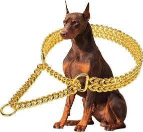 img 4 attached to 🐶 Stainless Steel 18K Gold Adjustable Cuban Link Dog Collar - Chew Proof Double Row Chain Collar for Large, Small, and Medium Dogs - Walking and Training Accessory