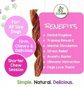 img 1 attached to Natural Beef Gullet Sticks For Dogs - Nature Gnaws Beef Jerky Springs - Simple And Tasty Chew Treats - Premium Quality - Rawhide-Free - 7-8 Inches Long