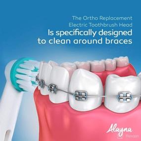 img 1 attached to 🦷 Unleash Orthodontic Success with the Ultimate Power Ortho Replacement Brush