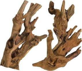 img 4 attached to 🌿 kathson Natural Driftwood Decorative Branches for Reptiles Terrarium, Fish Tank, and Aquarium Habitat - Assorted Sizes, Set of 2