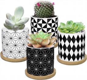 img 4 attached to Stylish And Functional: DeeCoo 3 Inch Ceramic Succulent Planter Pots With Drainage And Tray - Set Of 4 For Mini Flowers, Cactus, Herbs And Indoor Plants