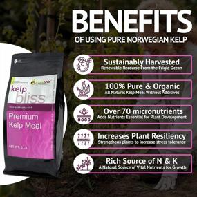 img 3 attached to Органическое удобрение из муки из водорослей - ускорьте рост растений и урожайность с Kelp Bliss, Pure Kelp Meal (10 фунтов)