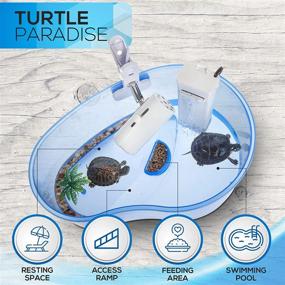 img 2 attached to 🐢 Turtle Aquarium Kit: Complete Starter Set for Baby Size Turtles - Includes Tortoise Tank, Terrarium Accessories, and Essential Filtration System