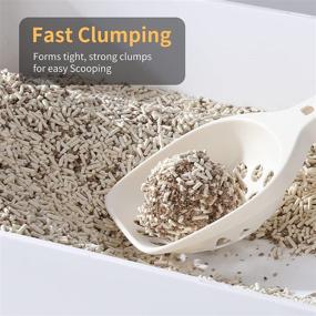 img 1 attached to FUKUMARU Tofu Cat Litter: 12 lb Clumping Flushable Kitty Litter with Natural Tofu & Apple Wood Pellets – Unscented, Dust Free, Scoopable | 24/7 Odor Control, Lightweight