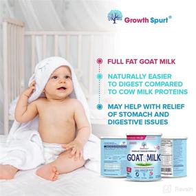 img 2 attached to 🐐 Goat Milk Toddler Formula - Growth Spurt Powdered Goat's Milk - Immune Support, Prebiotics, Probiotics, Iron, DHA & ARA, Methylfolate - Non GMO Infant Baby Transition Weaning