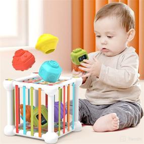 img 2 attached to 🧩 Sensory Development Toy: Baby Shape Sorter for 1 Year Old Boy Girl with Elastic Bands - Montessori Learning Toy for Toddlers 1-3 (13pcs)