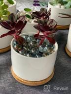 img 1 attached to Add Elegance To Your Space With ZOUTOG Mini Ceramic Succulent Planters - Pack Of 4 review by Douglas Irwin