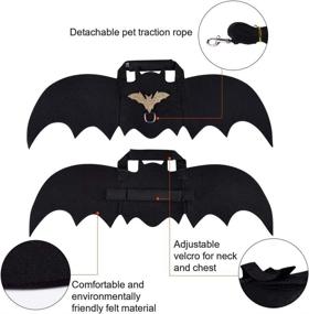 img 2 attached to 🦇 Cat Bat Costume: Halloween Cat Bat Wings & Collar for Small Dogs and Cats - Premium Comfort Pet Apparel