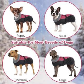 img 1 attached to Bonaweite Clothes Sweater Pajamas Apparel Dogs via Apparel & Accessories