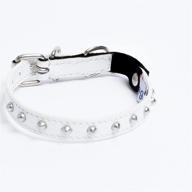 angel pet supplies leather studded cats ... collars, harnesses & leashes logo