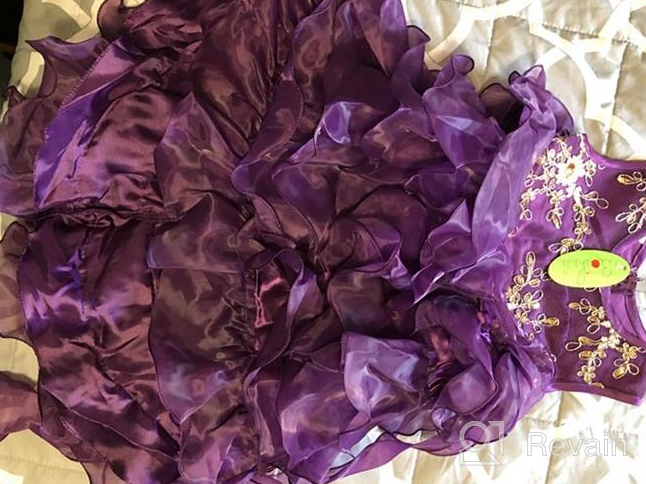 img 1 attached to 👗 Vintage Ruffle Lace Flower Girl Princess Tutu Dress for Wedding, Bridesmaid, Pageant, and Communion - Formal Trailing Gown for Parties review by Jessica West