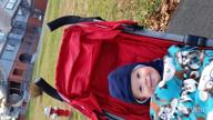 картинка 1 прикреплена к отзыву Зимний флисовый и шерстяной набор для малышей Зелда Матильда - шапка и варежки для младенцев - унисекс - теплые варежки для мальчиков и девочек от Daniel King