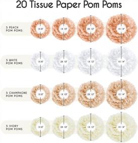 img 2 attached to 🎉 20-Piece Paper Pom Poms Party Kit by EpiqueOne - Tissue Pom Pom Decorations for Birthdays, Bridal Showers, and Baby Showers - Easy to Assemble and Install; White, Ivory, Peach, and Champagne