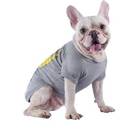 img 1 attached to 🐕 Star Wars for Pets: The Force is Strong with This One Dog Tee - The Ultimate Star Wars Dog Shirt and Clothes Collection!
