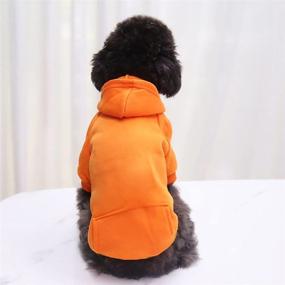 img 2 attached to 🐶 Yikeyo Dog Hoodie with Pocket - Warm Fleece Sweater for Small Dog Boy Girl Yorkies Chihuahua - 4 Pack, X-Small Size - Fall Winter Puppy Clothes in Blank Color (Pink Purple Red Orange)