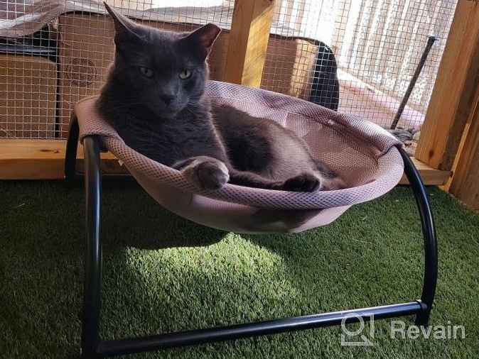 img 1 attached to Noyal Cat Hammock Bed: Elevated, Breathable, And Detachable For Indoor And Outdoor Kitty Comfort review by Ryan Reed