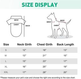 img 3 attached to 🐕 Enhanced Safety for Dogs: Reflective Dog Vest Coat with Leash Hole, Ideal for Small, Medium, and Large Breeds