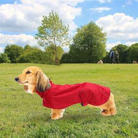 img 3 attached to 🐶 Waterproof Dog Coats for Dachshund & Sausage Dogs, Winter Coat with Padded Fleece Lining, Adjustable Bands & Reflective Trim - Ideal Outdoor Dog Jumper