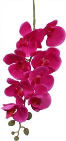 img 2 attached to Добавьте элегантности и красоты в любое пространство с 38-дюймовыми искусственными орхидеями фаленопсиса U'Artlines - идеально подходит для дома, офиса и свадьбы - упаковка из 4 (розово-красная)