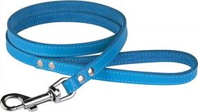 img 1 attached to BronzeDog Heavy Duty Leather Dog Leash In Blue - 4Ft Training Lead For Small To Large Dogs