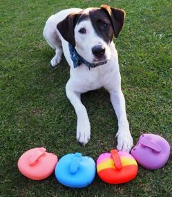 img 2 attached to Sky Blue ACTCE Smiley Face Silicone Dog Training Treat Pouch with Portable Belt Clip